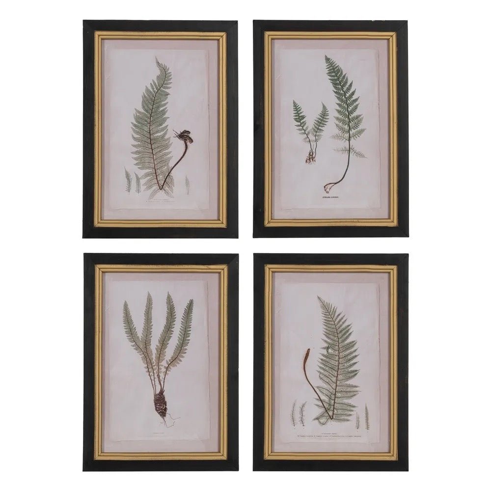 Cuadro Botanic - pino_y_jacaranda