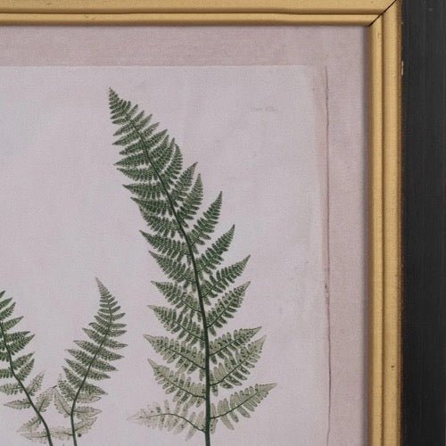 Cuadro Botanic - pino_y_jacaranda