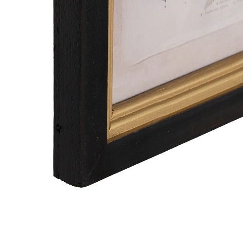 Cuadro Botanic - pino_y_jacaranda