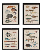 Cuadro Fauna Marina - #pino_y_jacaranda#
