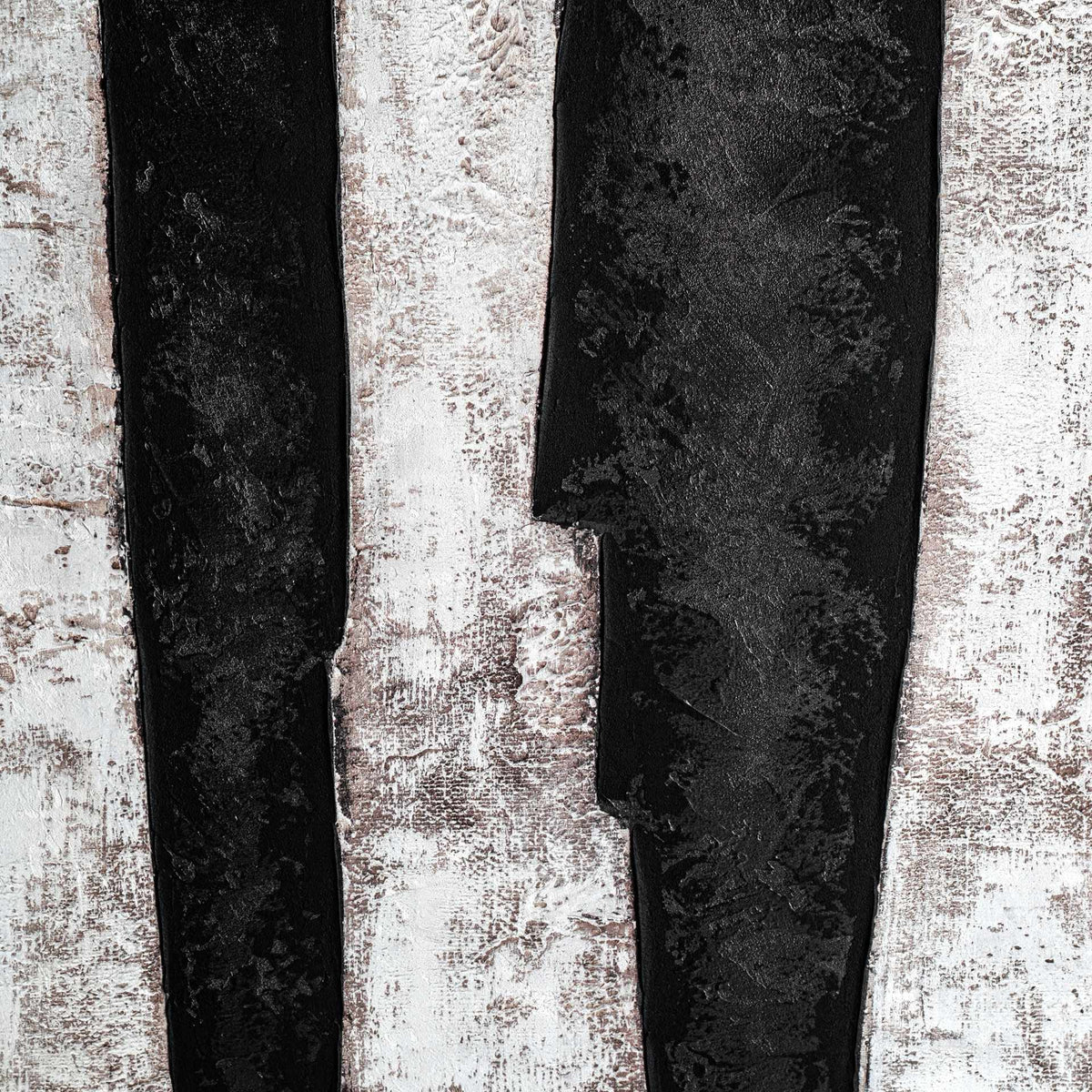 Cuadro Sombras - pino_y_jacaranda