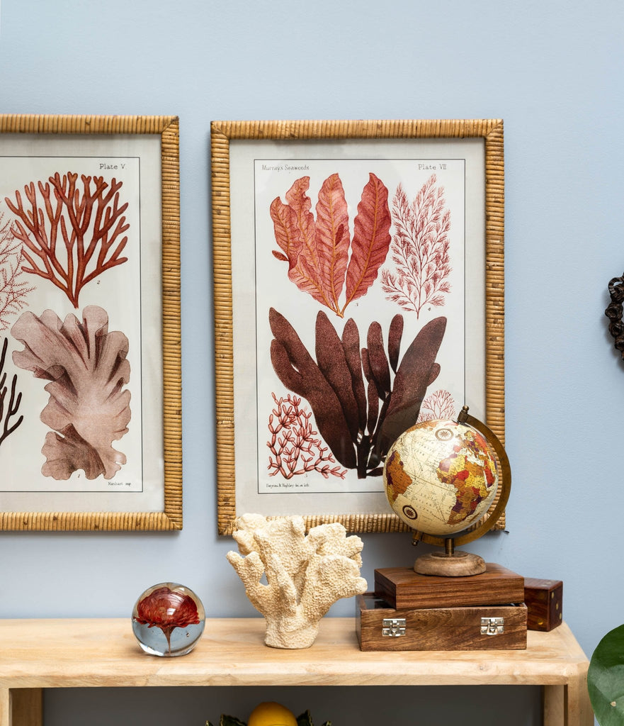 Cuenco Repollo - #pino_y_jacaranda#