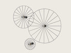 Disco Wheel - #pino_y_jacaranda#