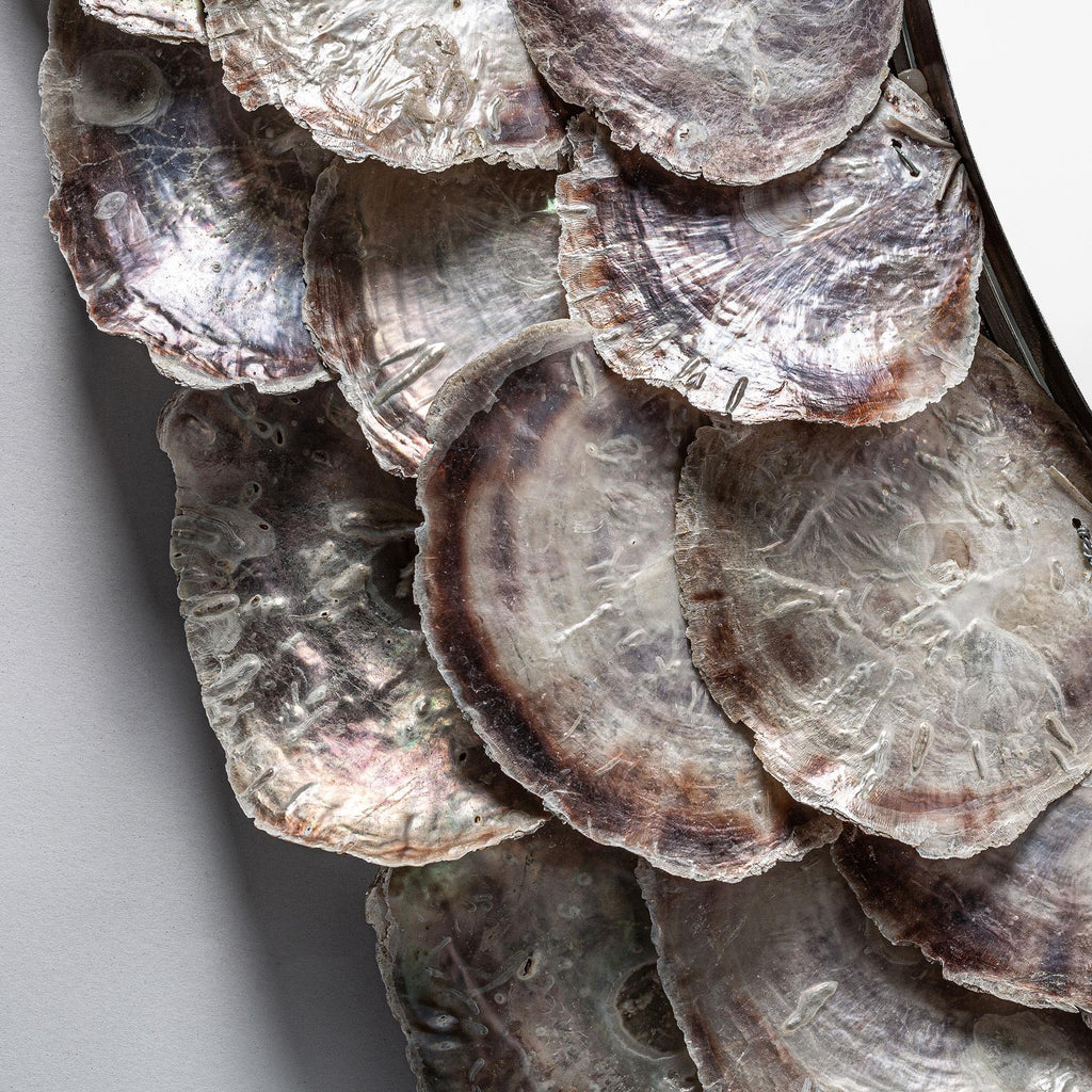 Espejo Océano - pino_y_jacaranda