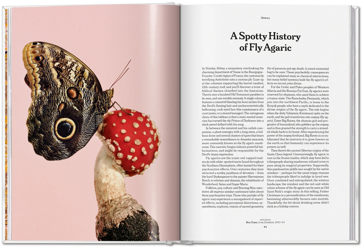 The Gourmand's Mushroom. A Collection of Stories and Recipes – TASCHEN (15)