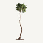 Ficus artificial Lapta