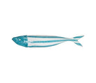 Figura de Decoración Ala de Mar - pino_y_jacaranda