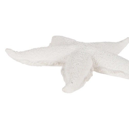 Figura de Decoración Estrella de Mar - pino_y_jacaranda
