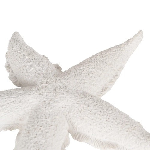 Figura de Decoración Estrella de Mar - pino_y_jacaranda