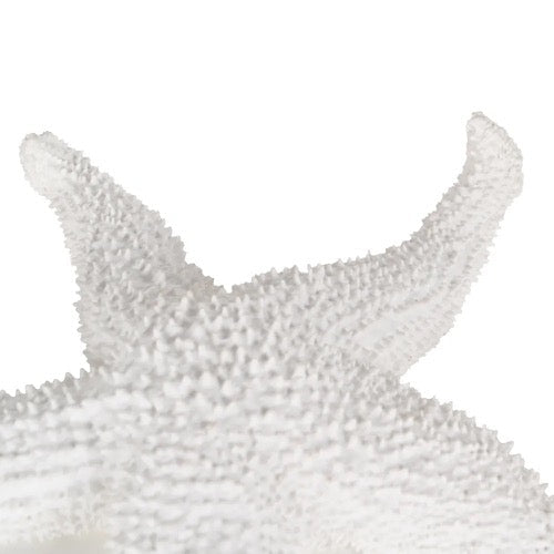 Figura de Decoración Estrella de Mar - pino_y_jacaranda