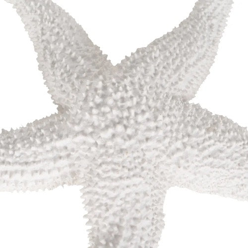 Figura de Decoración Estrella de Mar - pino_y_jacaranda