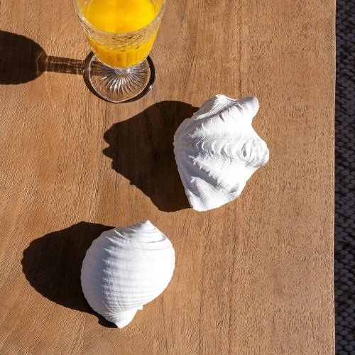 Figura de Decoración Perla de Mar - pino_y_jacaranda