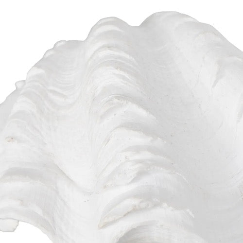 Figura de Decoración Perla de Mar - pino_y_jacaranda
