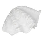 Figura de Decoración Perla de Mar - pino_y_jacaranda