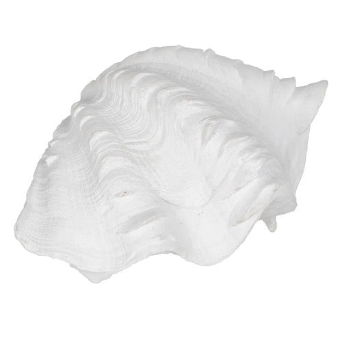 Figura de Decoración Perla de Mar - pino_y_jacaranda
