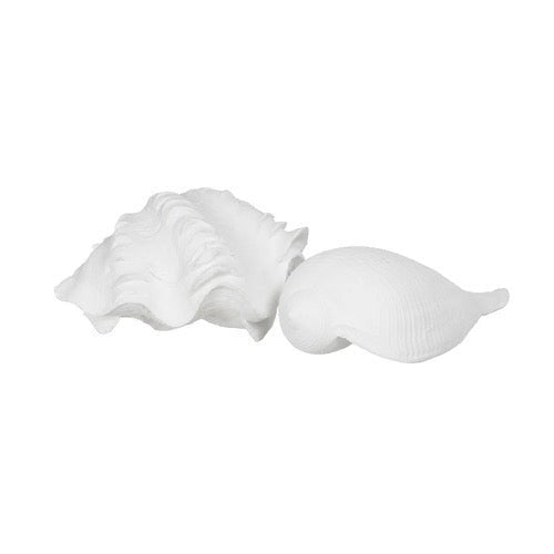 Figura de Decoración Perla de Mar - pino_y_jacaranda