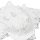 Figura de Decoración Tide - pino_y_jacaranda