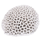 Figura Decorativa Blanco Coralino - pino_y_jacaranda
