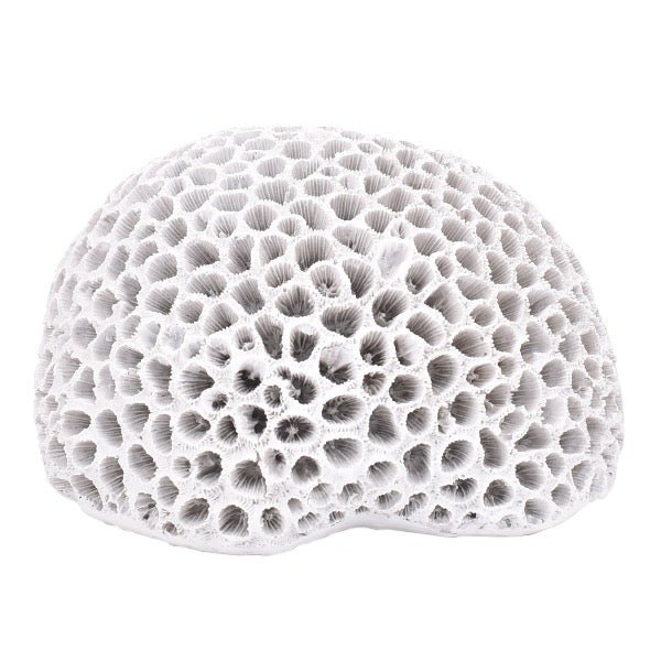 Figura Decorativa Blanco Coralino - pino_y_jacaranda