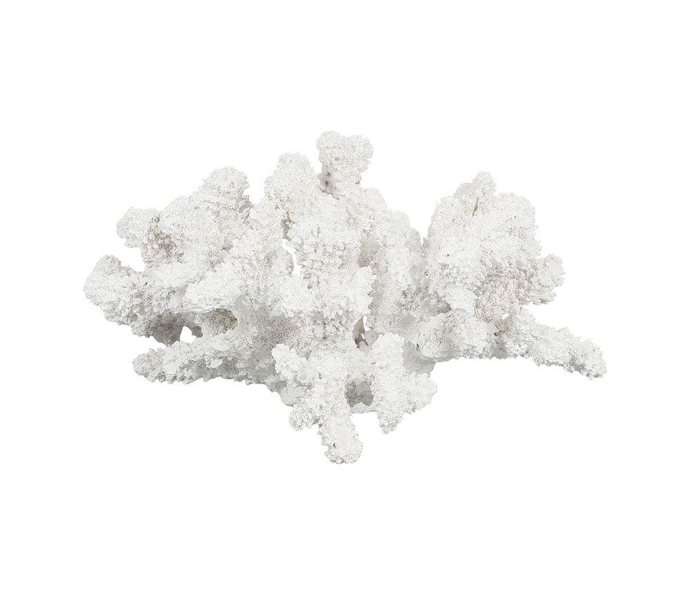 Figura Decorativa Corail - pino_y_jacaranda