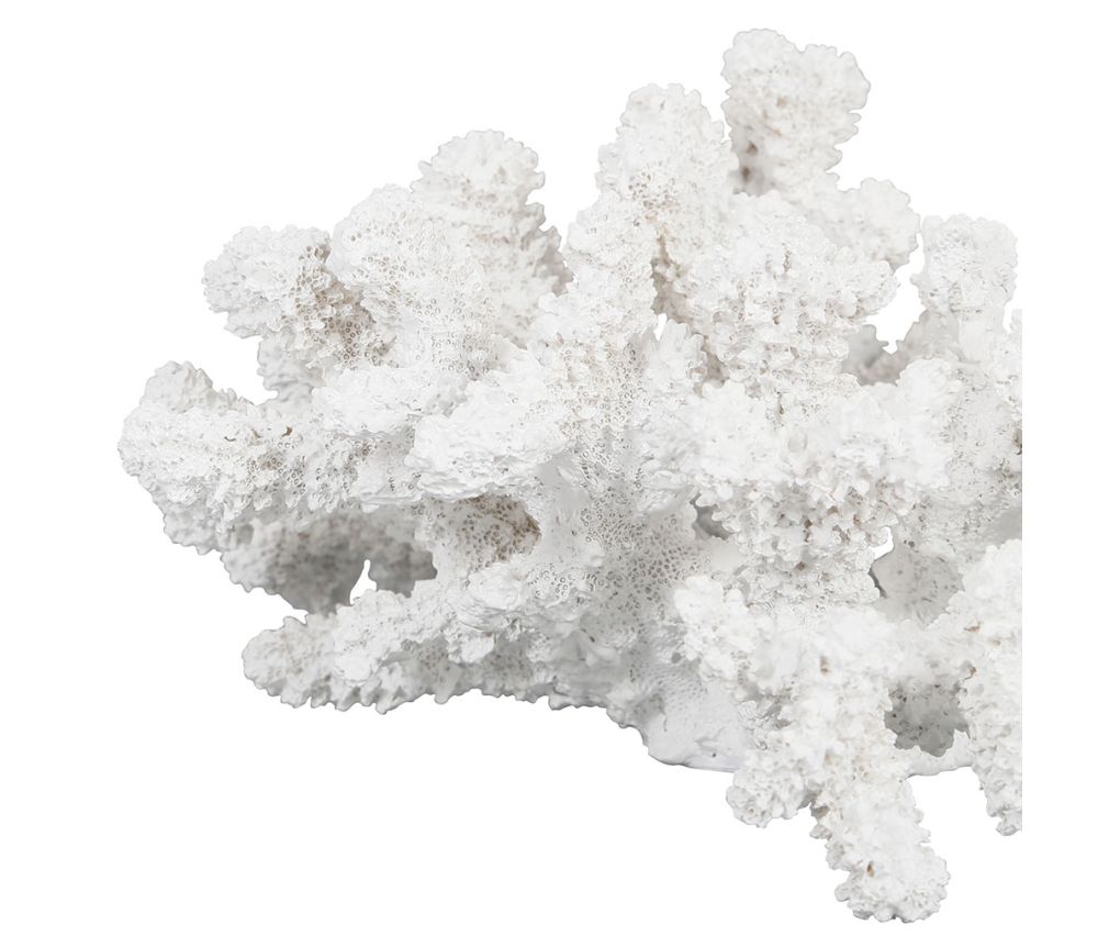 Figura Decorativa Corail - pino_y_jacaranda