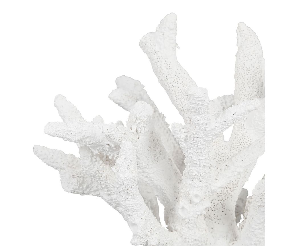 Figura Decorativa Coral White - pino_y_jacaranda
