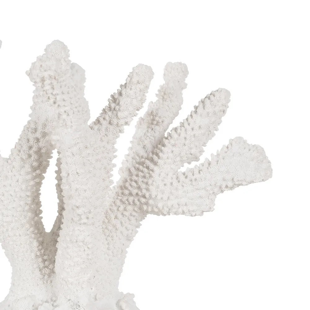 Figura Decorativa Lanai - pino_y_jacaranda