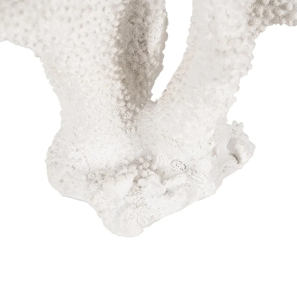 Figura Decorativa Lanai - pino_y_jacaranda