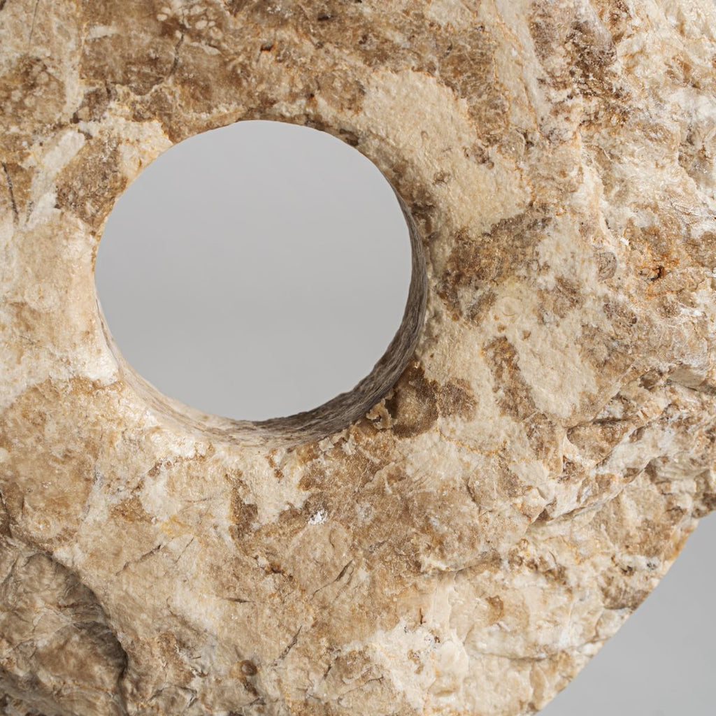 Figura Disco Auron - pino_y_jacaranda