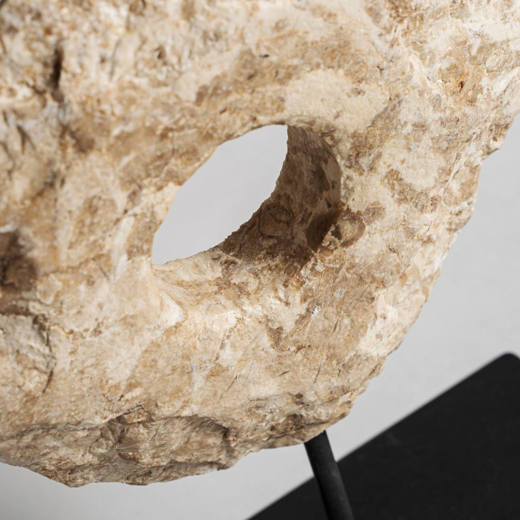 Figura Disco Auron - pino_y_jacaranda