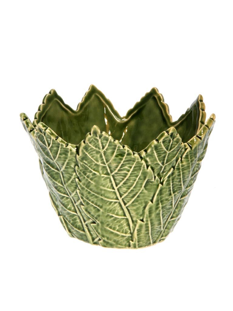Fuente Hojas Verdes - #pino_y_jacaranda#
