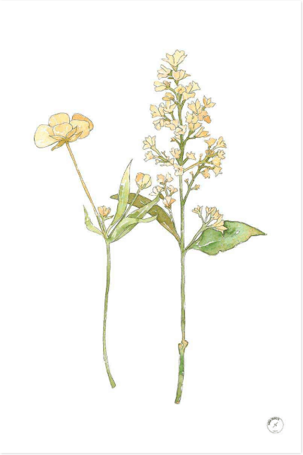 Lámina Flores Amarillas I - pino_y_jacaranda