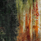 Lienzo Calgary - #pino_y_jacaranda#