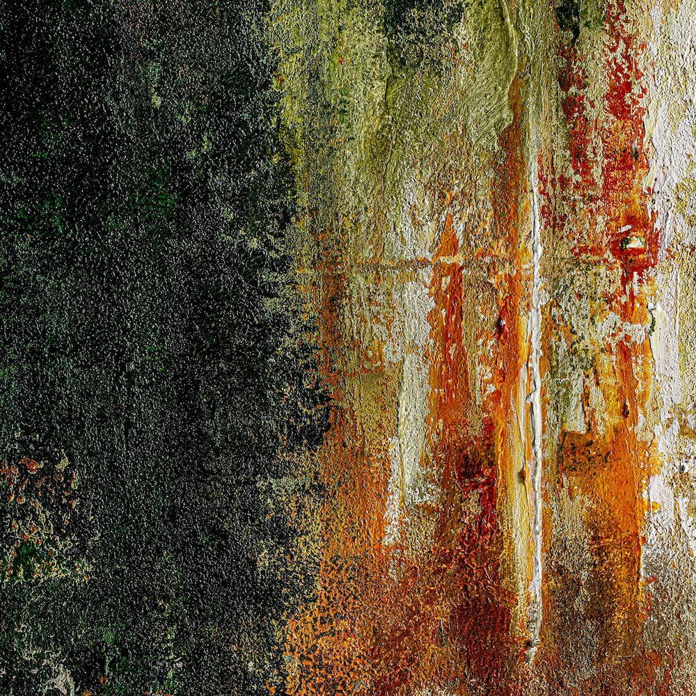 Lienzo Calgary - #pino_y_jacaranda#