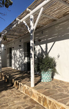 Maceta Contemporánea Jairo - #pino_y_jacaranda#