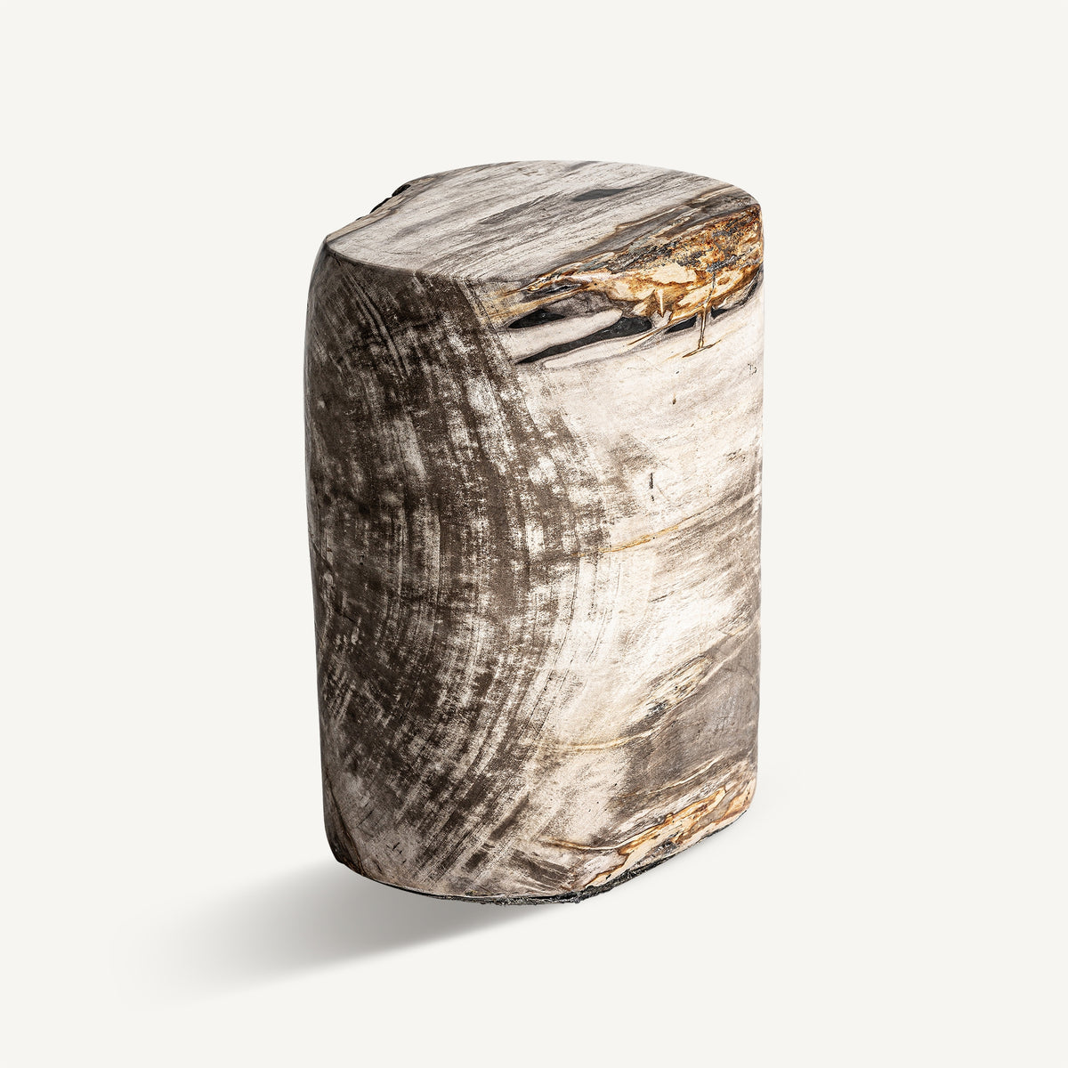 Mesa auxiliar de madera petrificada Carrizo alta