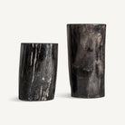 Mesa auxiliar de madera petrificada Carrizo baja