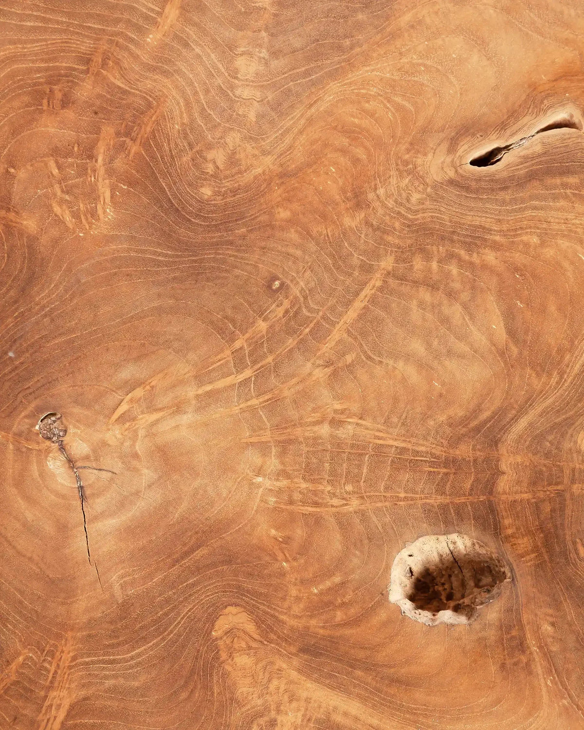 Mesa de centro de raíz de teca y hierro Root