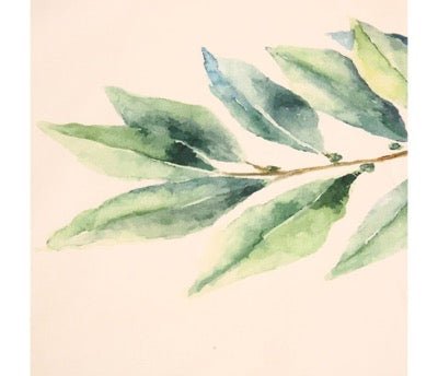 Paño de Cocina Aromas - pino_y_jacaranda