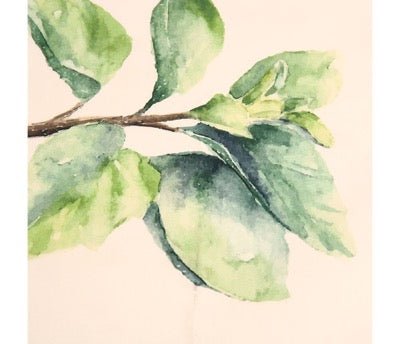 Paño de Cocina Aromas - pino_y_jacaranda