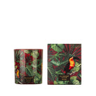 Vela Wild Musk - Jungletopia Collection - #pino_y_jacaranda#