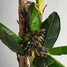 Planta artificial de hoja ancha Benimantell