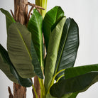 Planta artificial de hoja ancha Benimantell