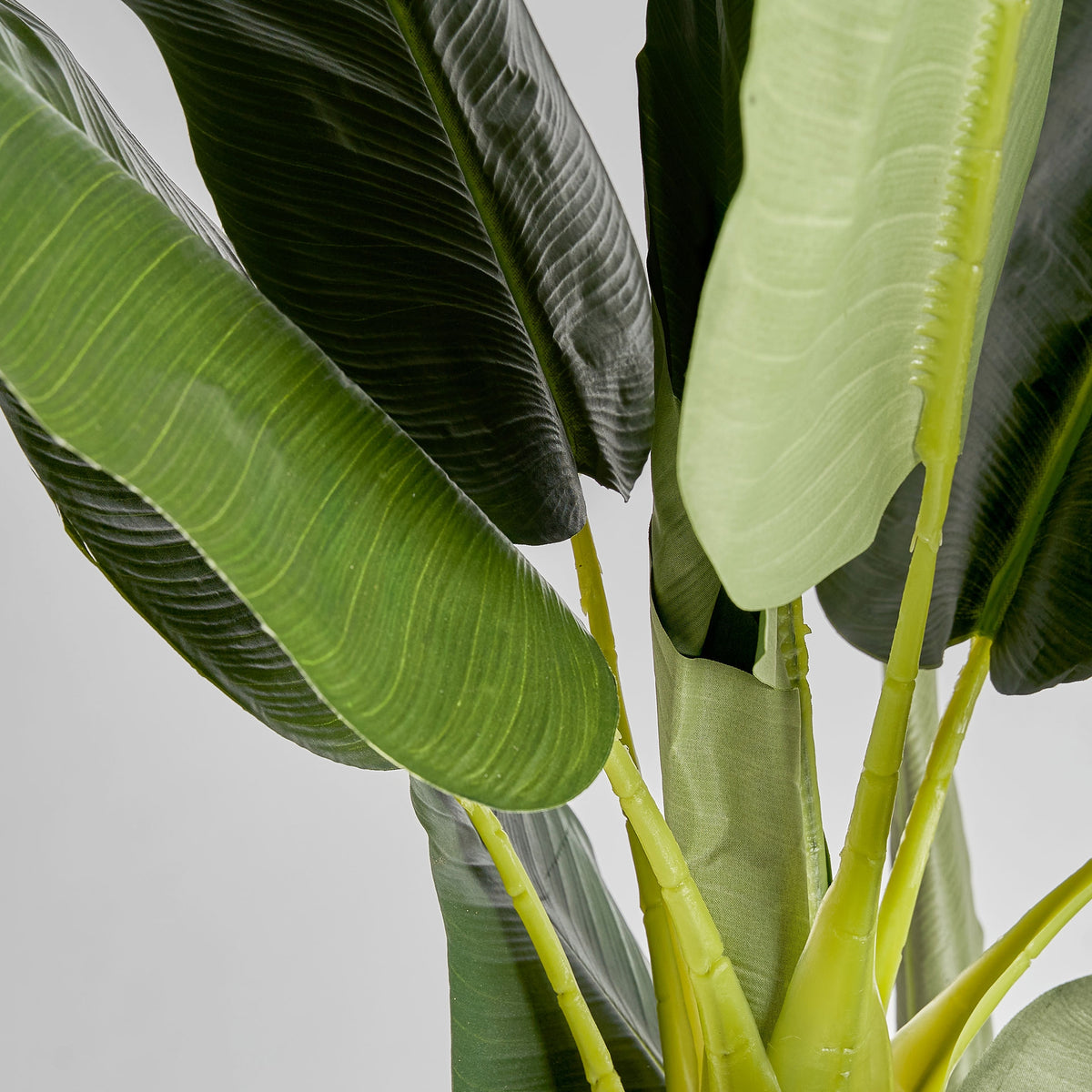 Planta tropical artificial Tárbena
