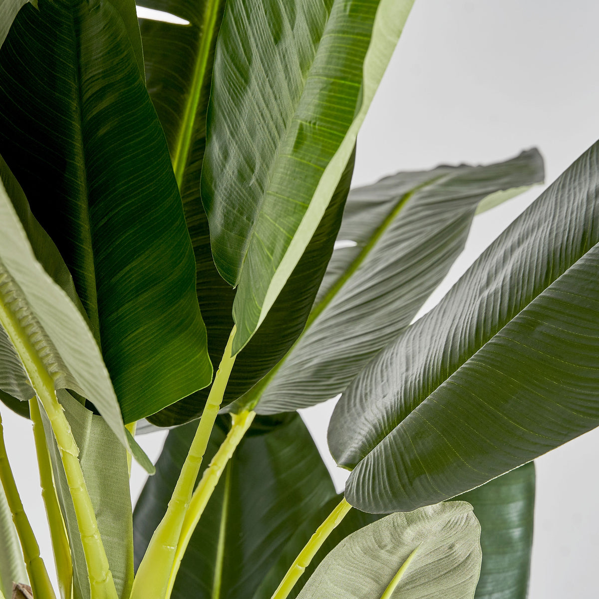 Planta tropical artificial Tárbena