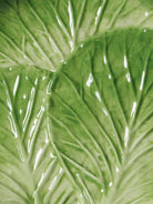 Plato de Aperitivo Lechuga - #pino_y_jacaranda#
