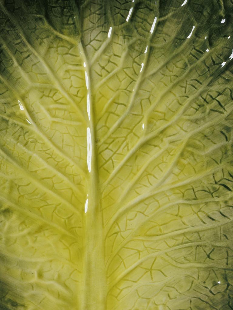 Plato Hoja de Lechuga - #pino_y_jacaranda#