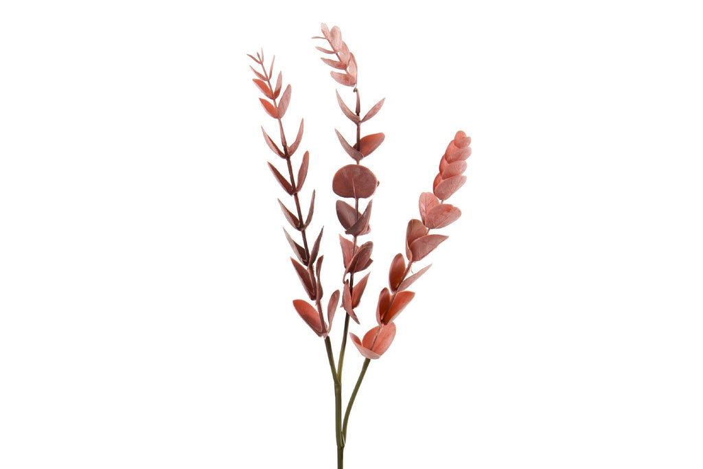 Rama de Eucalipto Rojo II - #pino_y_jacaranda#