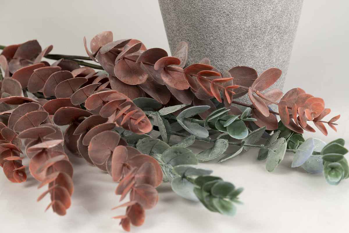 Rama de Eucalipto Rojo II - #pino_y_jacaranda#
