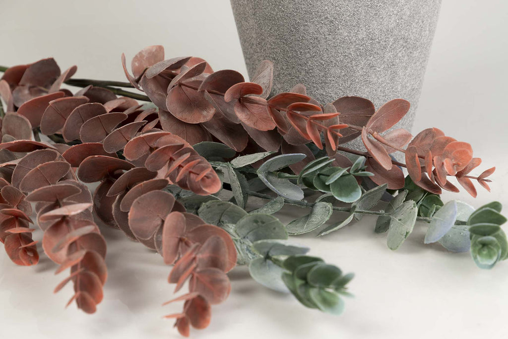 Rama de Eucalipto Rojo II - #pino_y_jacaranda#